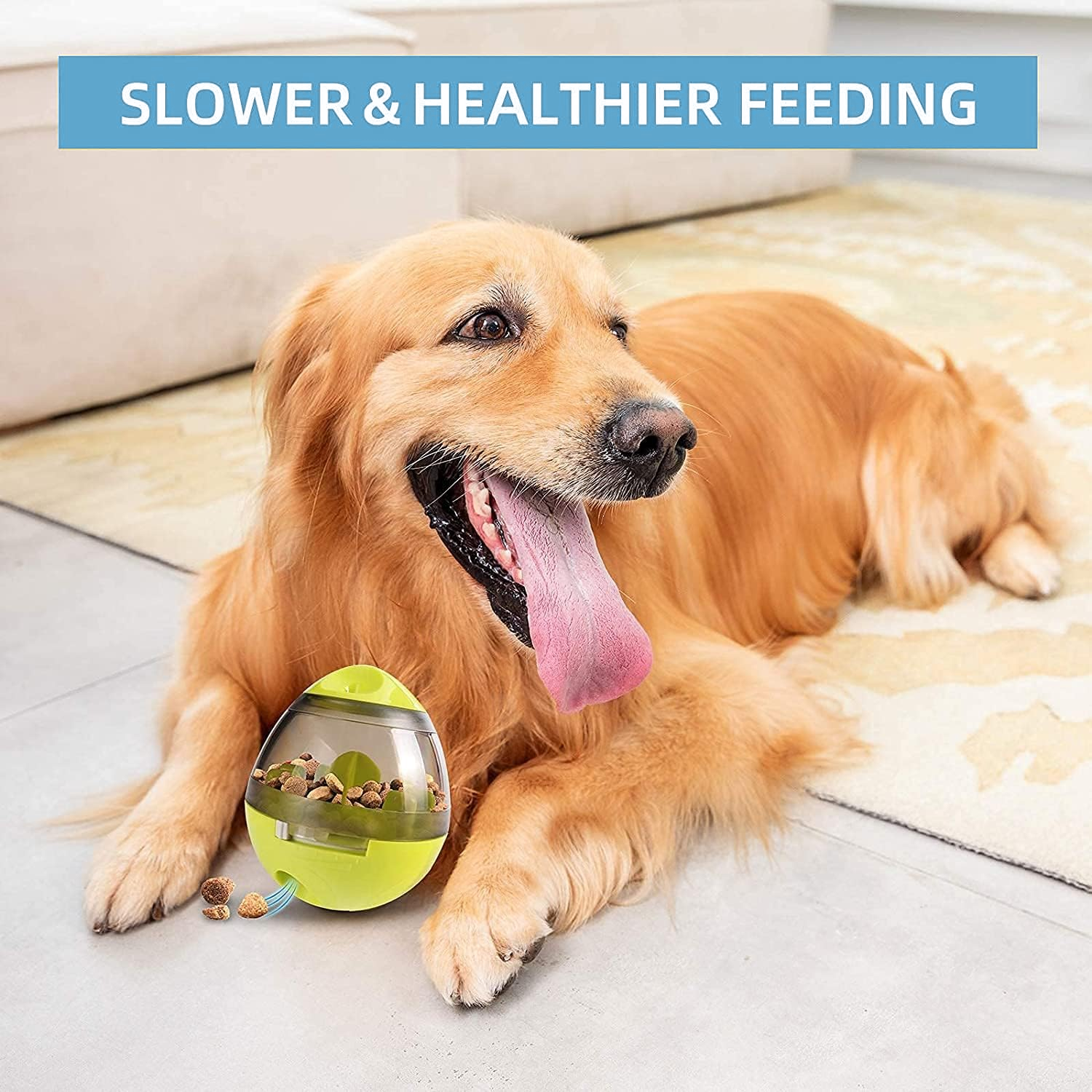 automatic dog feeder