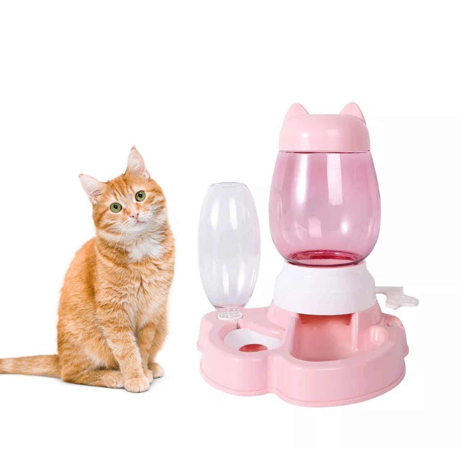 automatic pet food dispenser