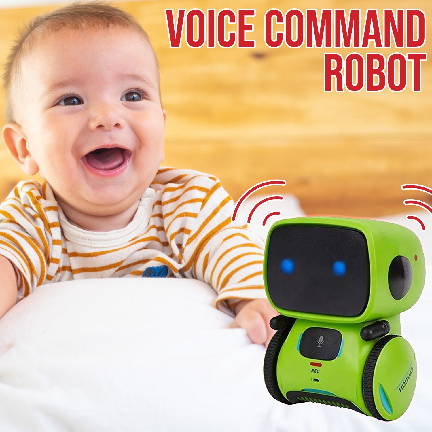 Voice Command Robot