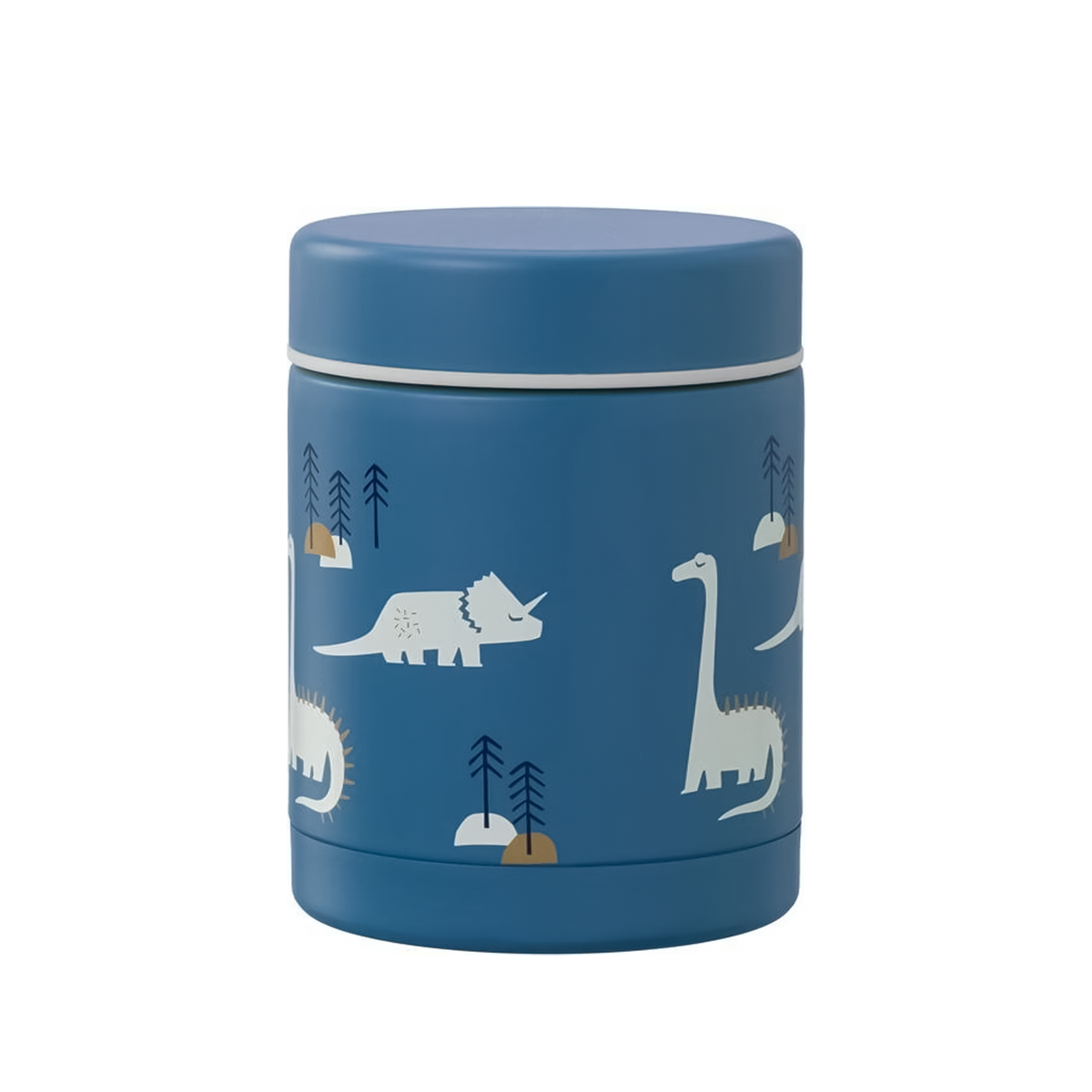reusable lunch box