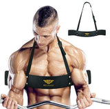 Biceps Blaster