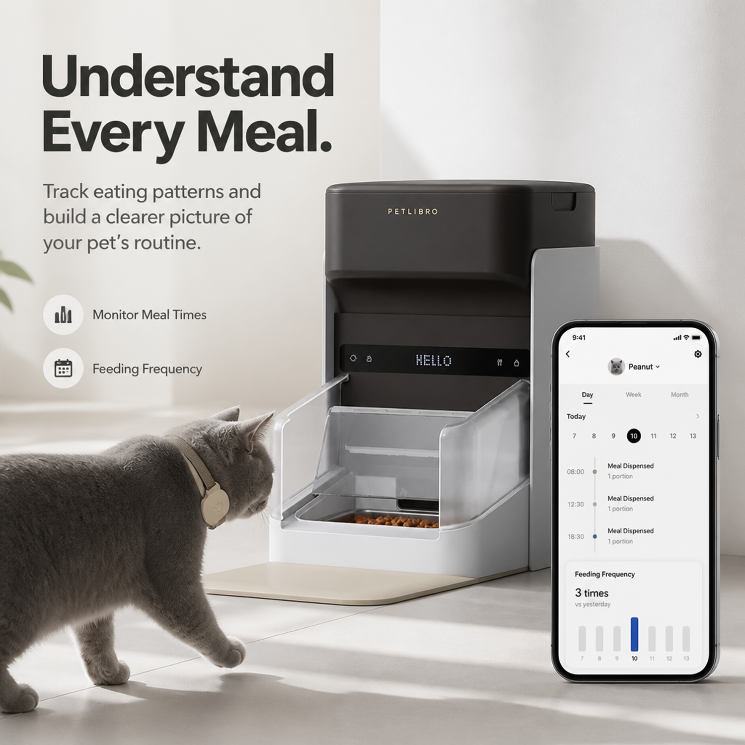 App interface tracking daily feeding frequency and meal times for a cat approaching the feeder