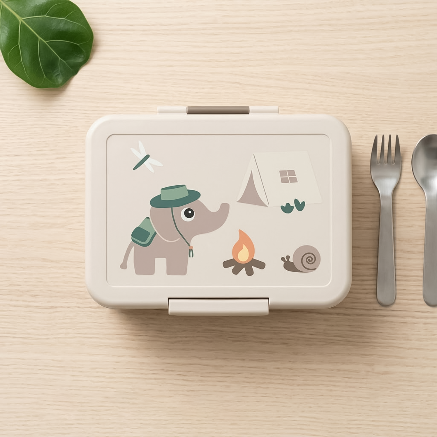 top view of bento lunch box 