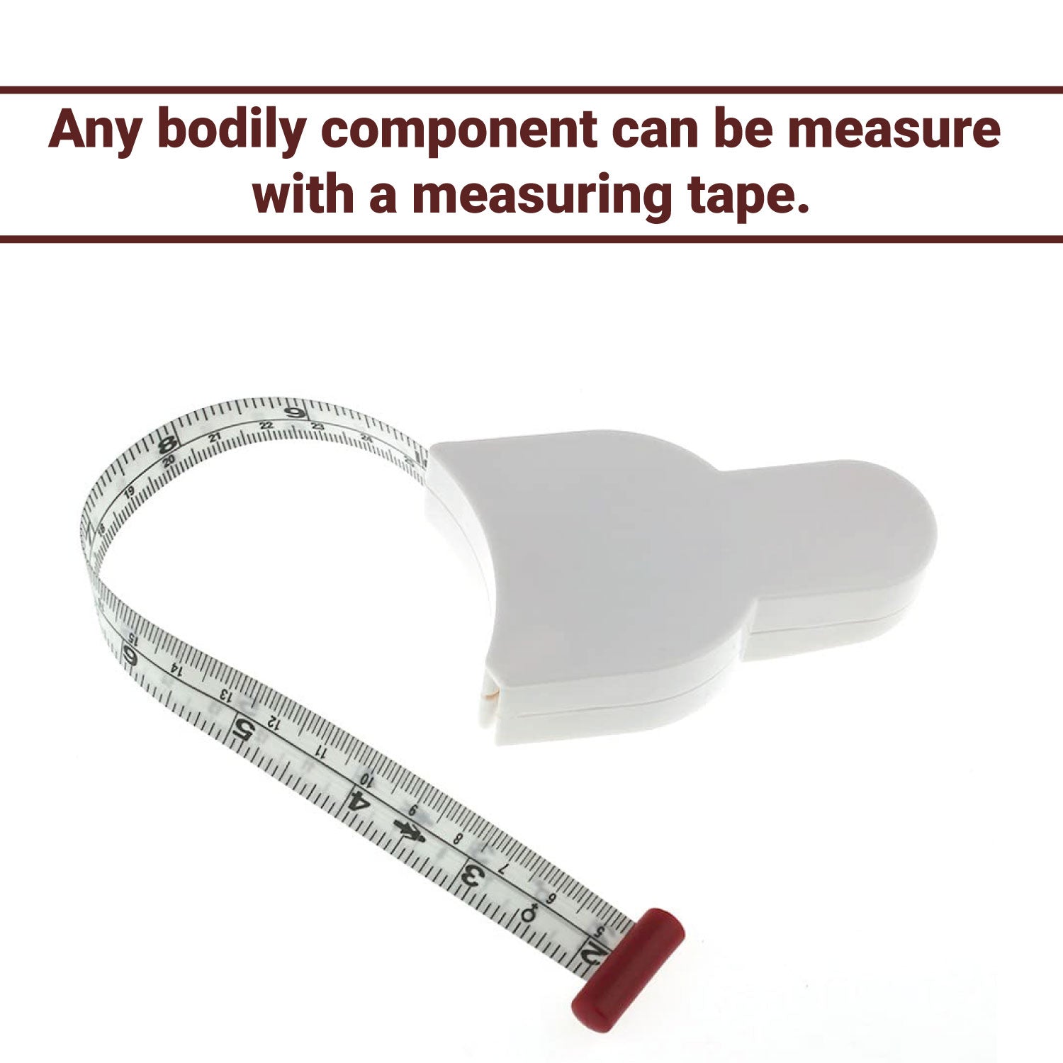 Generic Measuring Tape Body Retractable