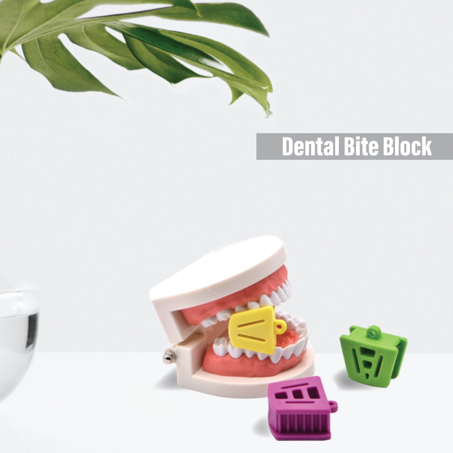 Best Dental Bite Blocks