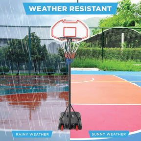 Costco Basketball Hoop